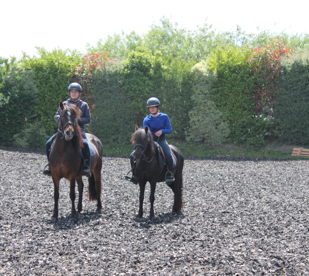 Les Chevaux Du Coat Centre Equestre Plourivo LES CHEVAUX DU COAT Centre Equestre Plourivo LES CHEVAUX DU COAT 1