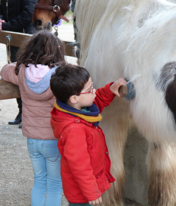 Les Chevaux Du Coat Centre Equestre Plourivo BALADE DES LUTTINS