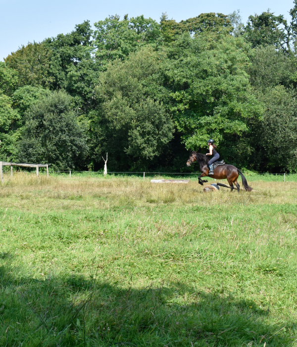 Les Chevaux Du Coat Centre Equestre Plourivo Stage Equitation Dexterieur Mountain Trail 1