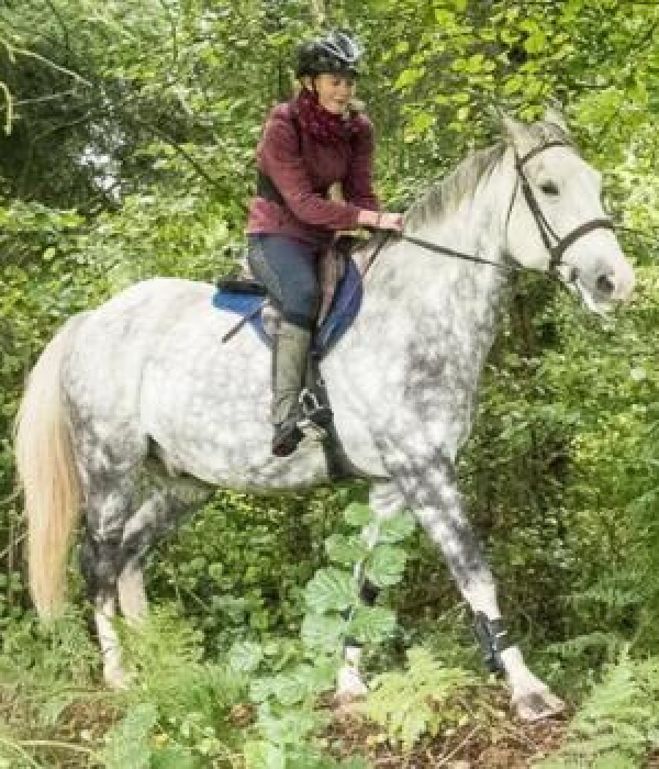 Les Chevaux Du Coat Centre Equestre Plourivo TERRAINS VARIES POUR LES JEUNES DE 10 A 15 ANS INITIES