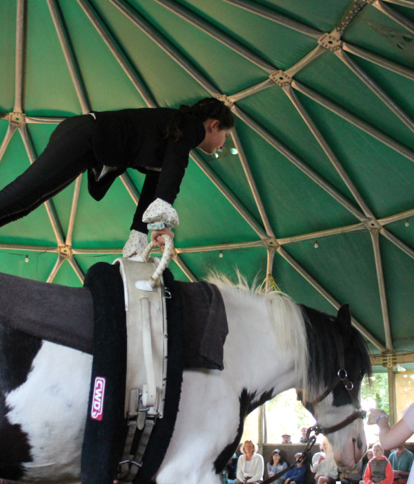 Les Chevaux Du Coat Centre Equestre Plourivo VOLTIGE